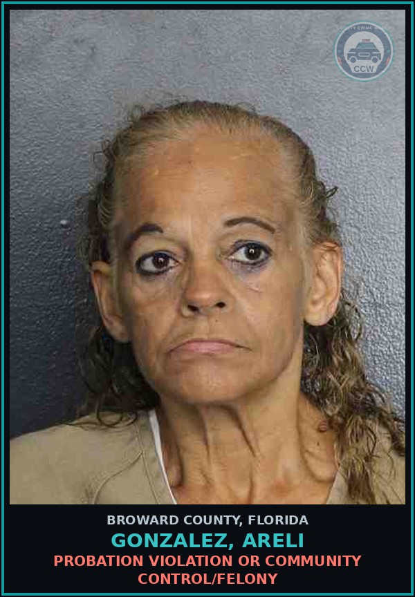 Booking mugshot of GONZALEZ, ARELI in Broward County