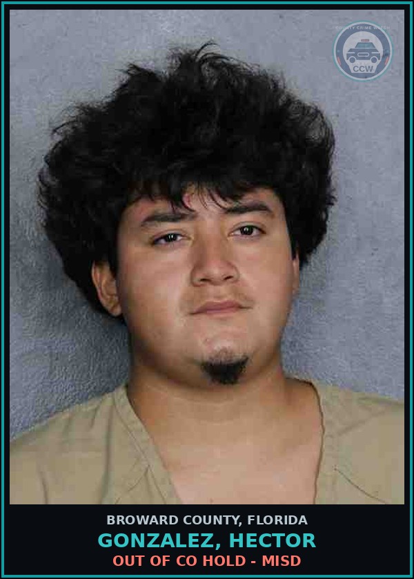 Booking mugshot of GONZALEZ, HECTOR in Broward County