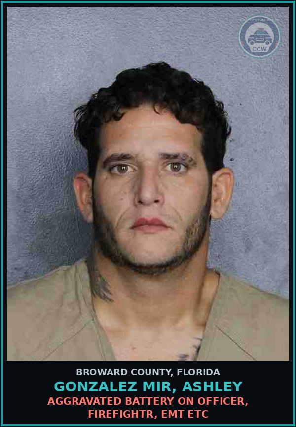 Booking mugshot of GONZALEZ MIR, ASHLEY in Broward County