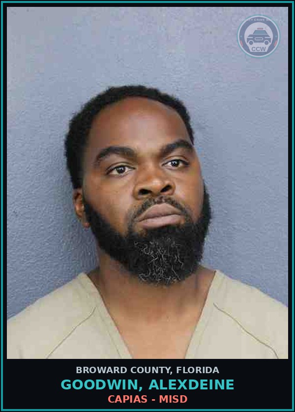 Booking mugshot of GOODWIN, ALEXDEINE in Broward County