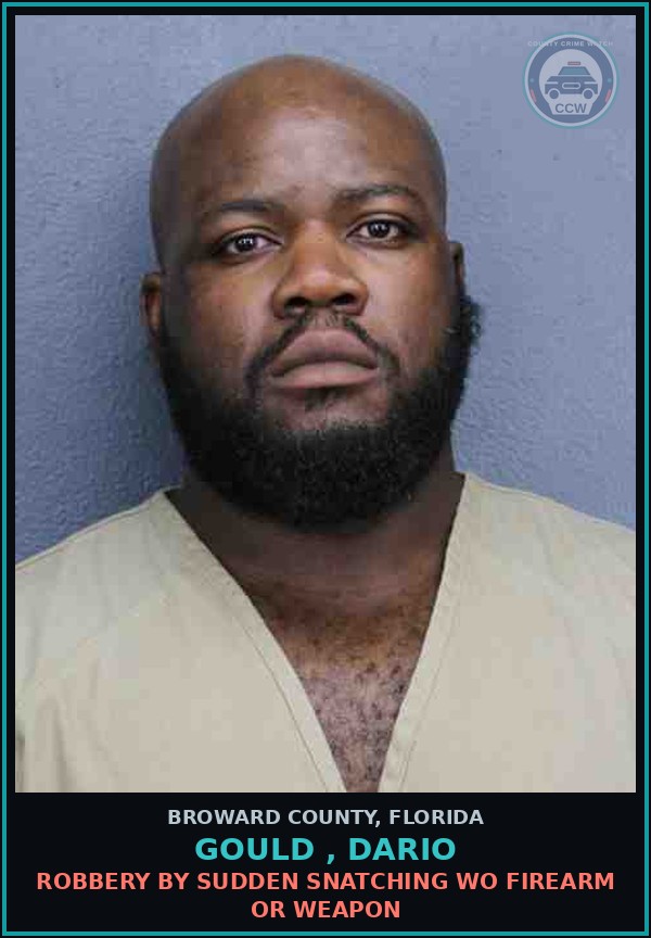 Booking mugshot of GOULD , DARIO in Broward County