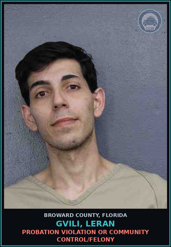 Booking mugshot of GVILI, LERAN in Broward County
