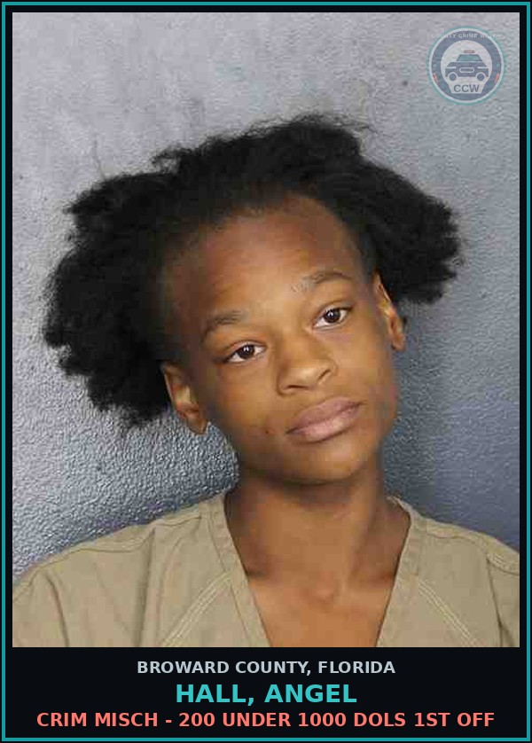 Booking mugshot of HALL, ANGEL in Broward County