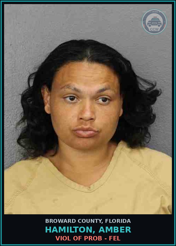 Booking mugshot of HAMILTON, AMBER in Broward County
