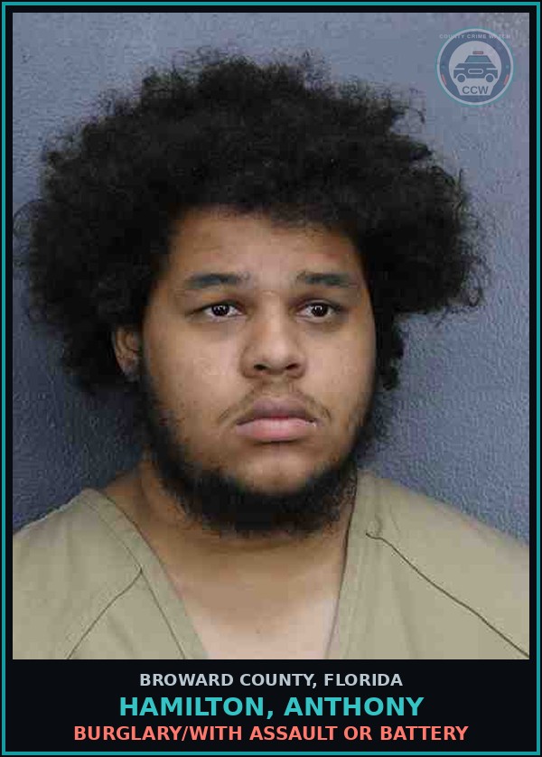 Booking mugshot of HAMILTON, ANTHONY in Broward County
