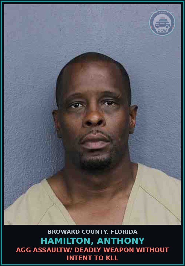 Booking mugshot of HAMILTON, ANTHONY in Broward County