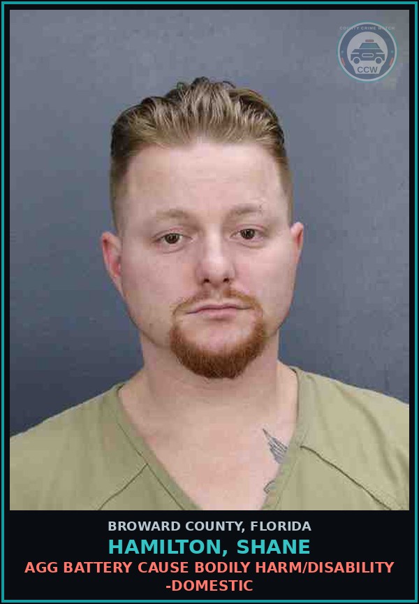 Booking mugshot of HAMILTON, SHANE in Broward County