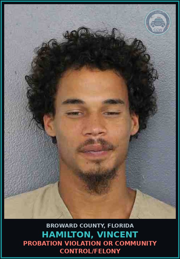 Booking mugshot of HAMILTON, VINCENT in Broward County