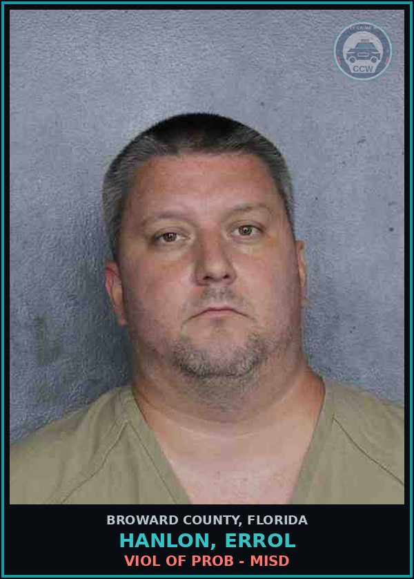 Booking mugshot of HANLON, ERROL in Broward County