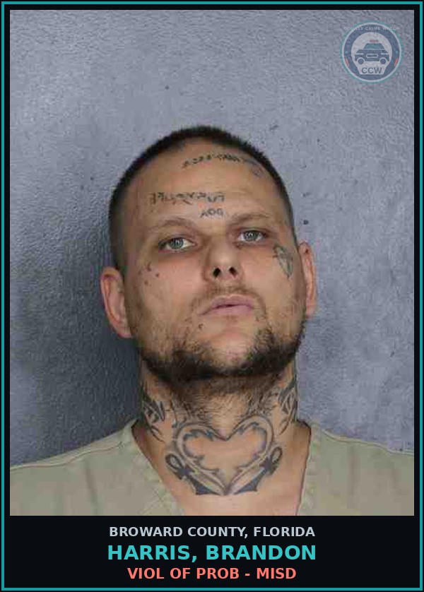 Booking mugshot of HARRIS, BRANDON in Broward County