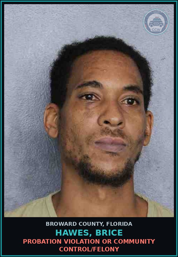 Booking mugshot of HAWES, BRICE in Broward County