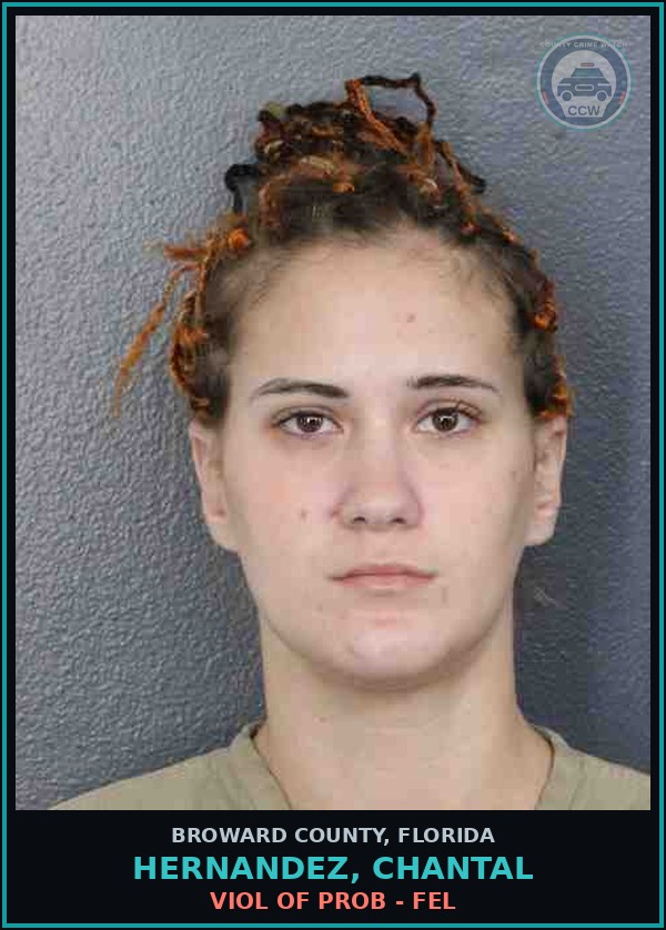 Booking mugshot of HERNANDEZ, CHANTAL in Broward County