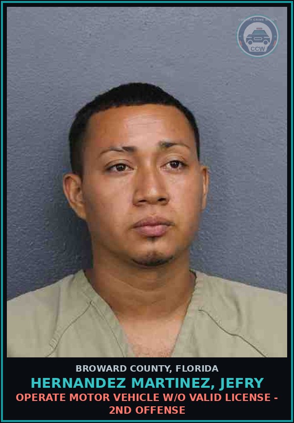 Booking mugshot of HERNANDEZ MARTINEZ, JEFRY in Broward County