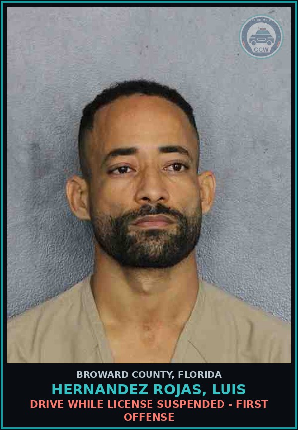 Booking mugshot of HERNANDEZ ROJAS, LUIS in Broward County