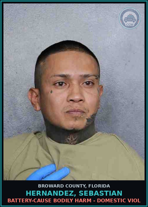Booking mugshot of HERNANDEZ, SEBASTIAN in Broward County