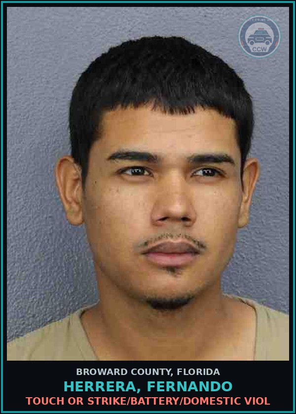 Booking mugshot of HERRERA, FERNANDO in Broward County