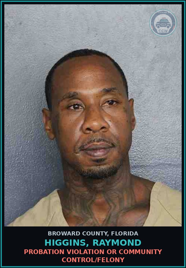 Booking mugshot of HIGGINS, RAYMOND in Broward County