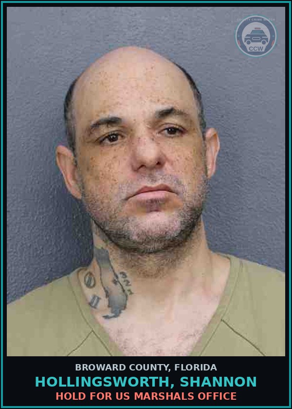 Booking mugshot of HOLLINGSWORTH, SHANNON in Broward County