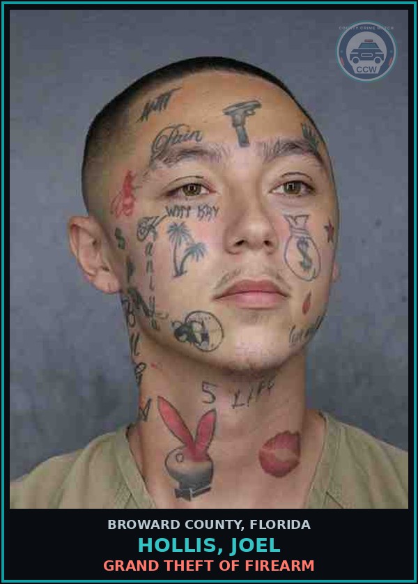 Booking mugshot of HOLLIS, JOEL in Broward County