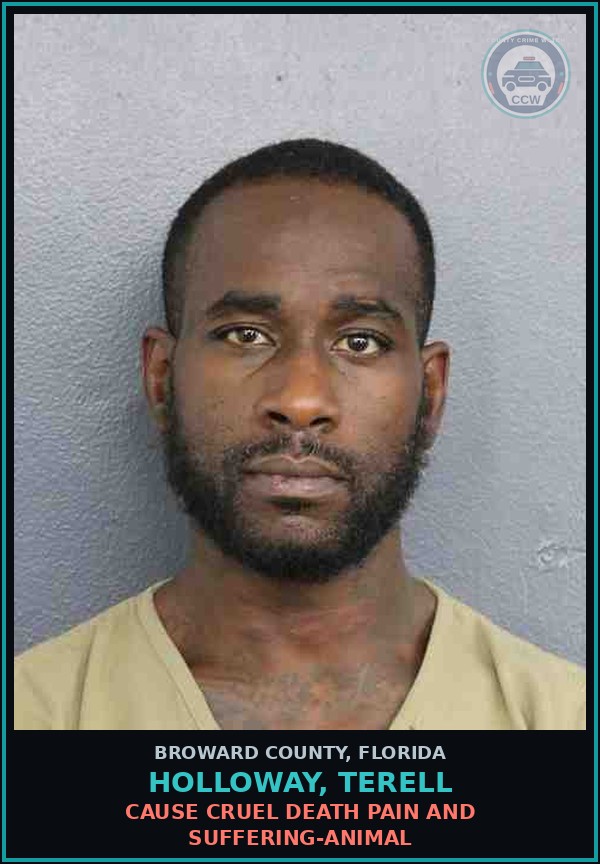 Booking mugshot of HOLLOWAY, TERELL in Broward County