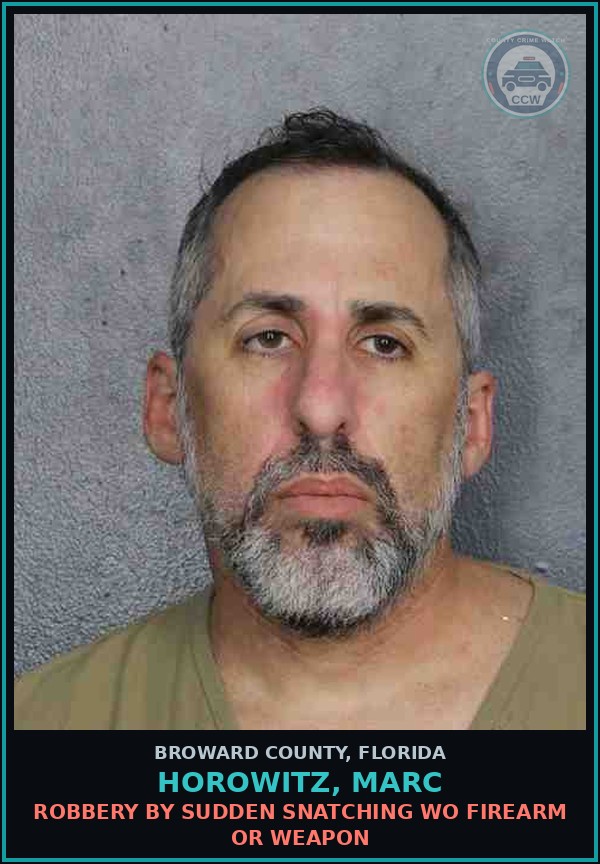 Booking mugshot of HOROWITZ, MARC in Broward County