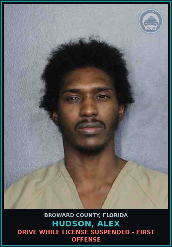 Booking mugshot of HUDSON, ALEX in Broward County
