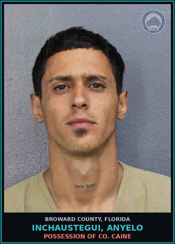 Booking mugshot of INCHAUSTEGUI, ANYELO in Broward County