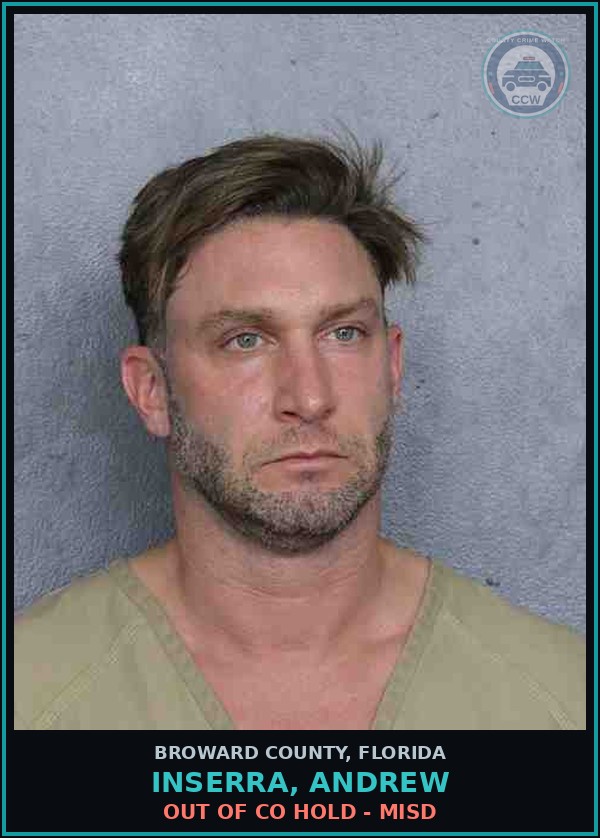 Booking mugshot of INSERRA, ANDREW in Broward County