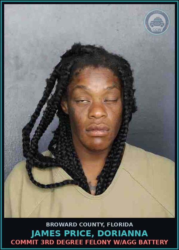 Booking mugshot of JAMES PRICE, DORIANNA in Broward County