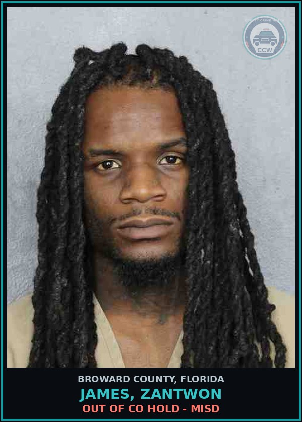 Booking mugshot of JAMES, ZANTWON in Broward County