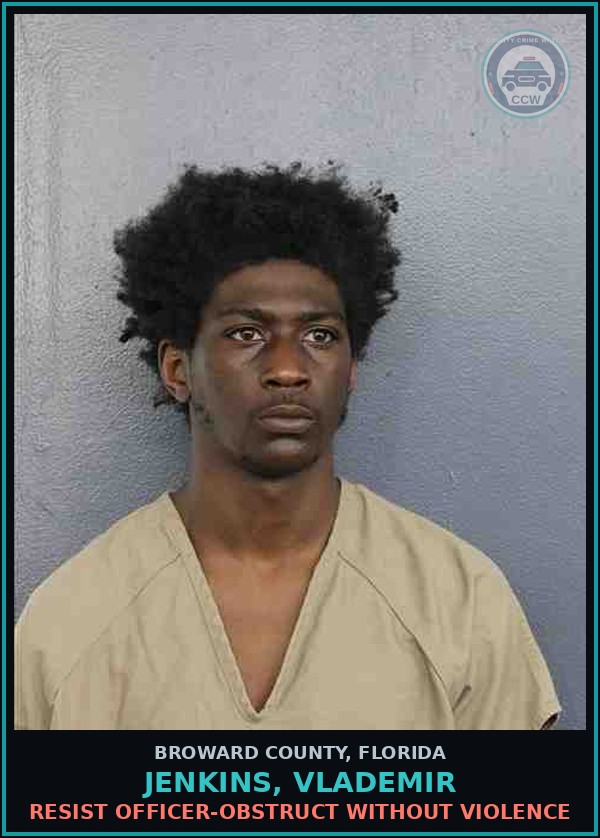 Booking mugshot of JENKINS, VLADEMIR in Broward County