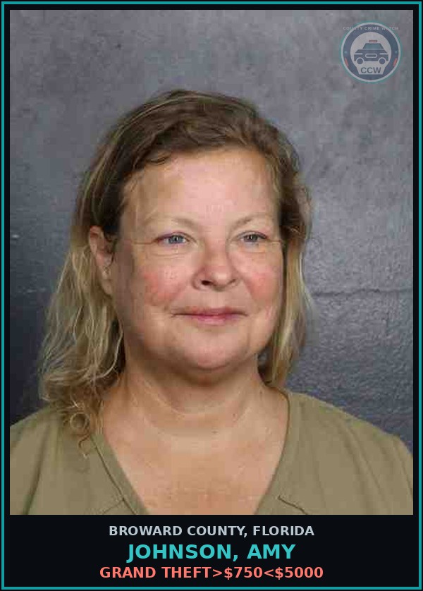 Booking mugshot of JOHNSON, AMY in Broward County