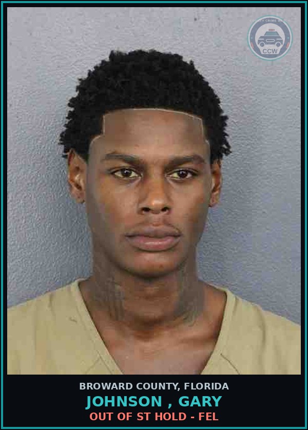 Booking mugshot of JOHNSON , GARY in Broward County
