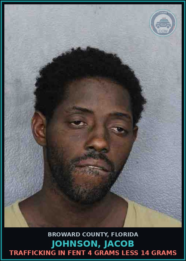 Booking mugshot of JOHNSON, JACOB in Broward County