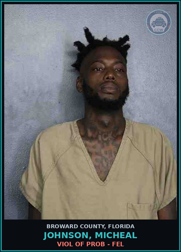 Booking mugshot of JOHNSON, MICHEAL in Broward County