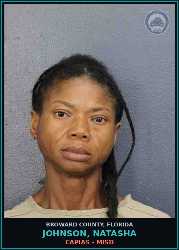 Booking mugshot of JOHNSON, NATASHA in Broward County