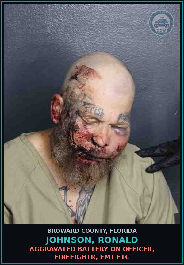 Booking mugshot of JOHNSON, RONALD in Broward County
