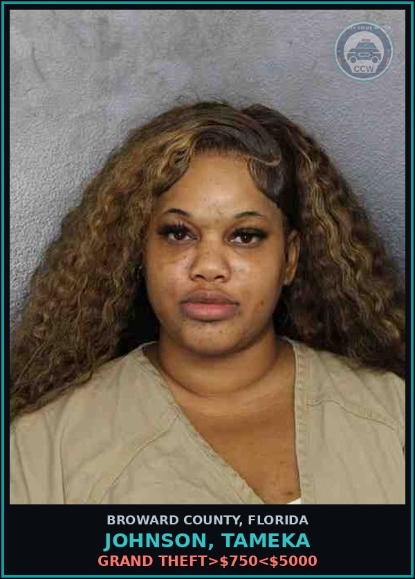Booking mugshot of JOHNSON, TAMEKA in Broward County