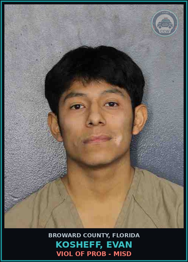 Booking mugshot of KOSHEFF, EVAN in Broward County