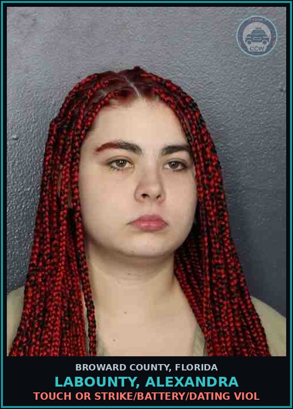 Booking mugshot of LABOUNTY, ALEXANDRA in Broward County