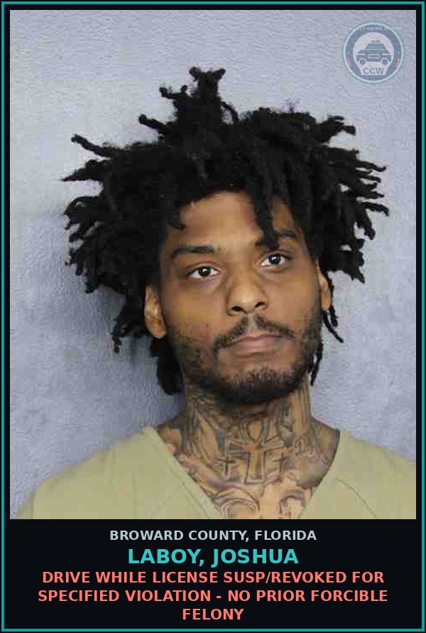 Booking mugshot of LABOY, JOSHUA in Broward County