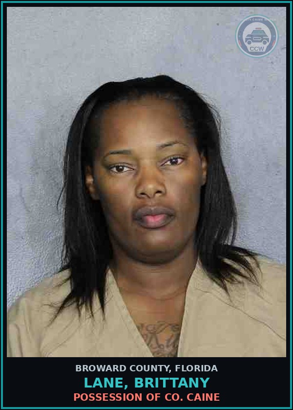 Booking mugshot of LANE, BRITTANY in Broward County