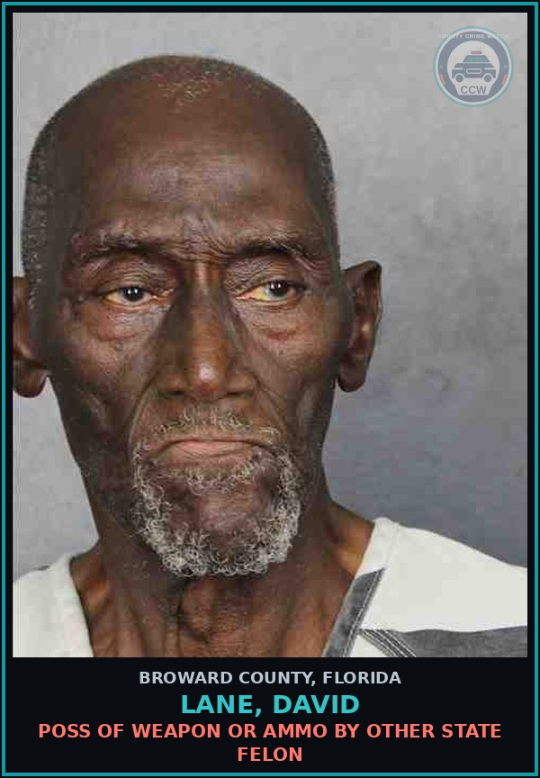 Booking mugshot of LANE, DAVID in Broward County