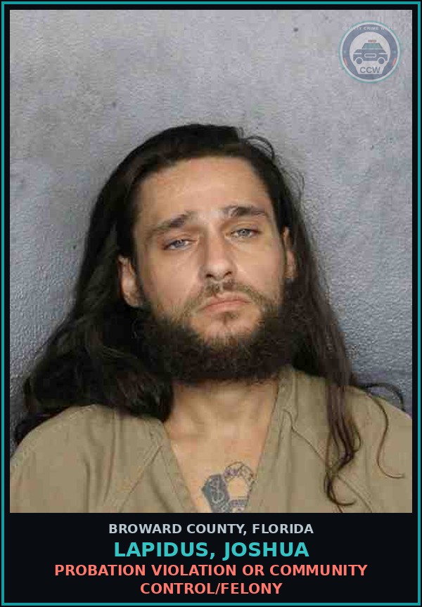 Booking mugshot of LAPIDUS, JOSHUA in Broward County