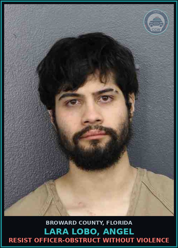 Booking mugshot of LARA LOBO, ANGEL in Broward County