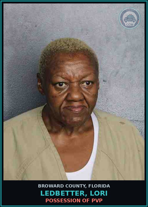 Booking mugshot of LEDBETTER, LORI in Broward County