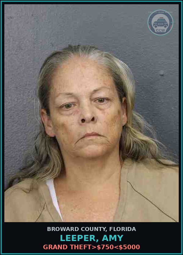 Booking mugshot of LEEPER, AMY in Broward County