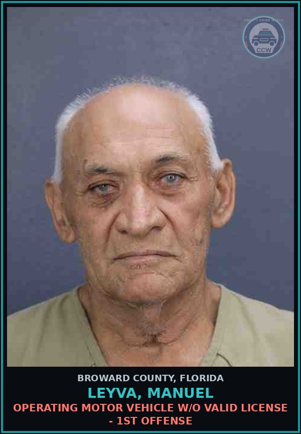Booking mugshot of LEYVA, MANUEL in Broward County