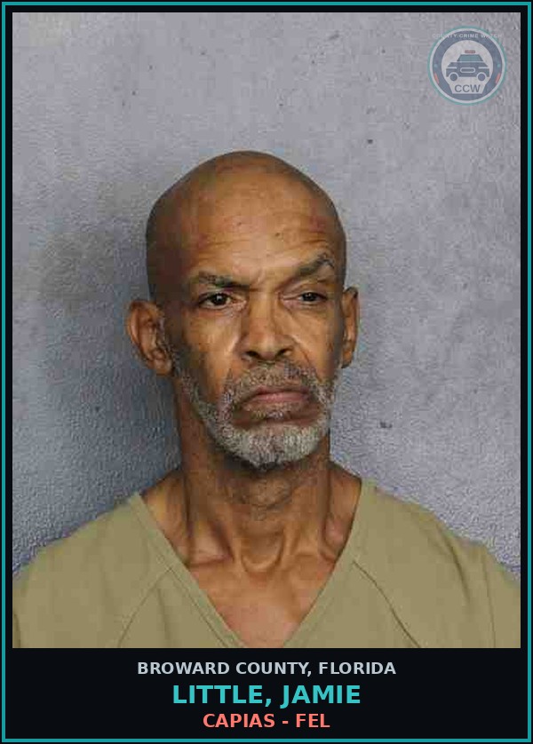 Booking mugshot of LITTLE, JAMIE in Broward County