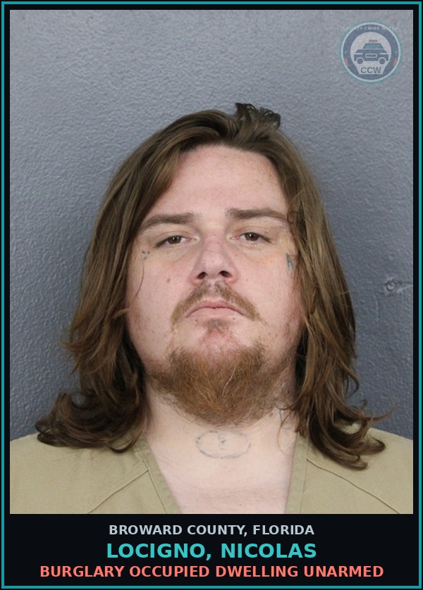Booking mugshot of LOCIGNO, NICOLAS in Broward County